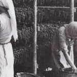 Women sorting Corinthian currants in Aigio, Peloponnese – traditional raisin processing by the Mythical Stafida cooperative.